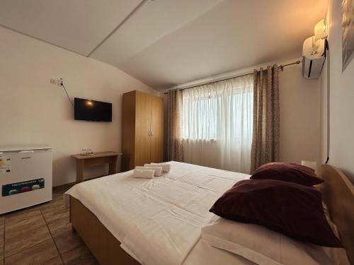 科斯蒂內甚蒂的住宿－Vila TIARA Costinesti，一间卧室设有一张大床和一个窗户。