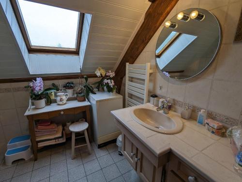 un bagno con lavandino e specchio di Séjour bucolique en Sologne avec chambres confortables dans maison accueillante - FR-1-590-359 a Vannes-sur-Cosson