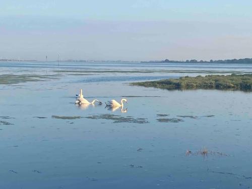 Gallery image of The Hideaway in Emsworth