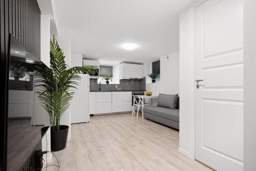 a kitchen with white cabinets and a potted plant at apartment Bergen in Bergen