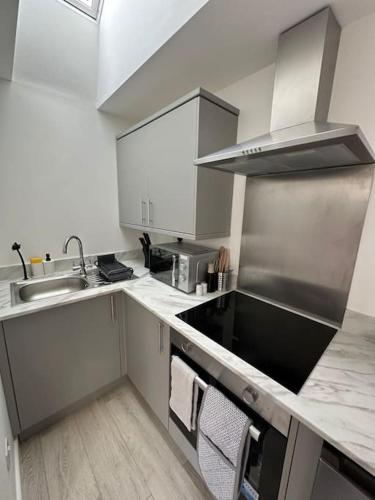a kitchen with a sink and a stove at Whitsun Studio - Brand New listing! in Bristol