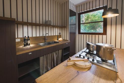 uma cozinha com um fogão, um lavatório e um balcão em Roccamare Resort - Ville e Appartamenti em Castiglione della Pescaia