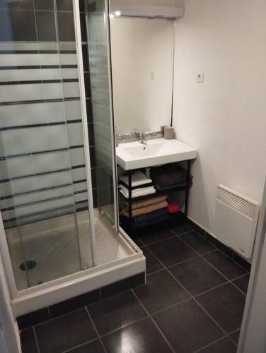 une salle de bain avec un lavabo et une douche dans l'établissement Appartement le Grau du roi, au Grau-du-Roi