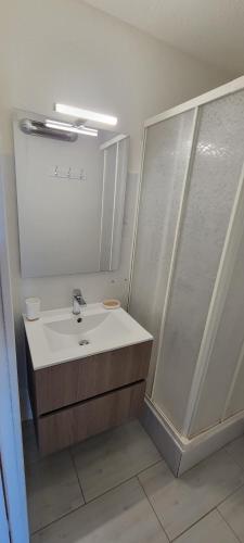 une salle de bain avec un lavabo et une douche dans l'établissement Les Terrasses du Grand Bleu,6 pers, parking, piscine, au Cap d'Agde