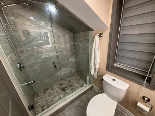 a bathroom with a toilet and a glass shower at House on Farm in Rosemonte