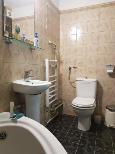 a bathroom with a toilet and a sink at Къща за гости Жорж in Bankya