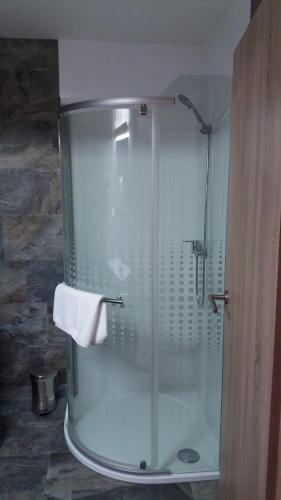 y baño con ducha y mampara de cristal. en Hotel BouCZECH en Lipno nad Vltavou