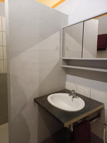 une salle de bain avec un lavabo et un miroir dans l'établissement Sous la vigne, à Rustrel