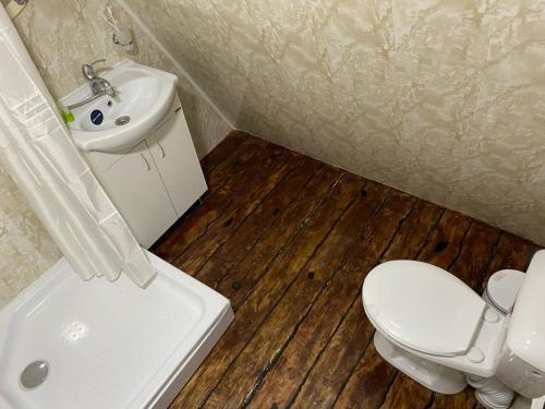 a bathroom with a white toilet and a sink at Arevatsag Canyon Guesthouse in Alaverdi