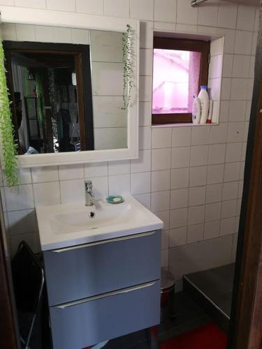 une salle de bain avec un lavabo et un miroir dans l'établissement Atelier d’artiste proche Paris Gare nord/Stade de FR/CDG, à Stains