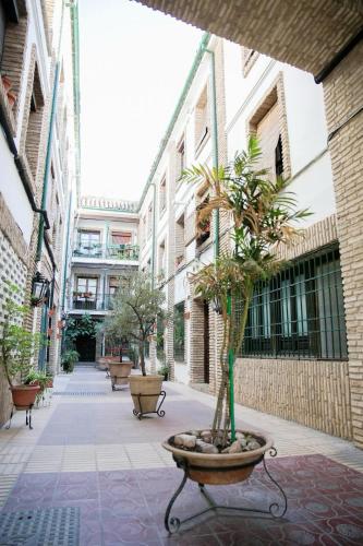 Apartamento Deluxe Lineros 34 con parking a 150 mts