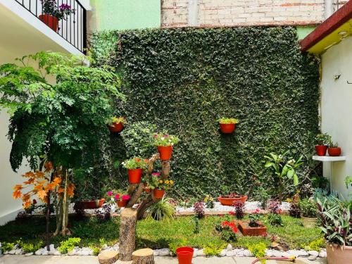 a garden with potted plants and flowers in front of a building at Casa EL Mundo 'Jalatlaco' in Oaxaca City