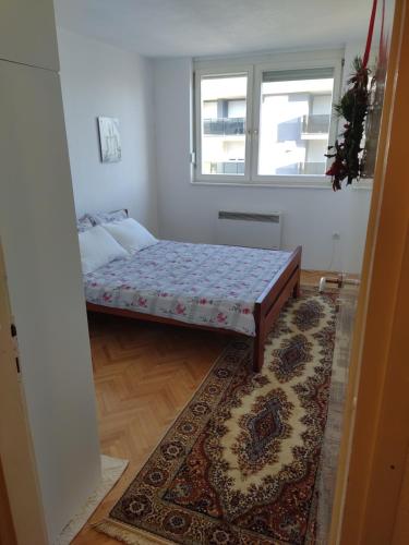 Schlafzimmer mit einem Bett, einem Fenster und einem Teppich in der Unterkunft Stan na dan Bega in Modriča