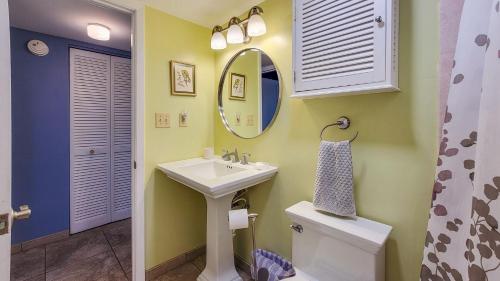 a bathroom with a sink and a mirror and a toilet at Sunset Serenade in Welaka in Georgetown