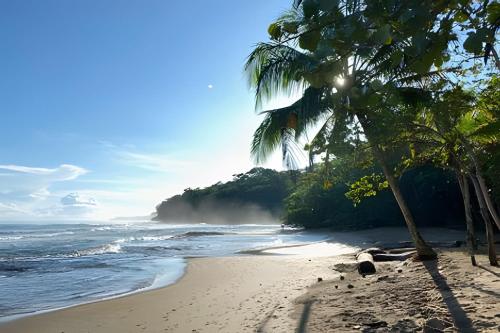 una spiaggia con palme e l'oceano di MINI UP! Acogedora casita para 2 personas con AC a Cocles