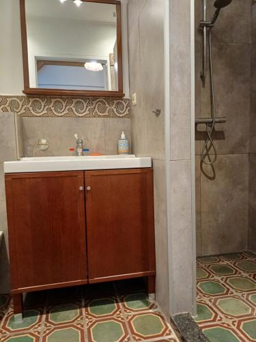 een badkamer met een wastafel, een spiegel en een douche bij Inne Schuur in Vlodrop