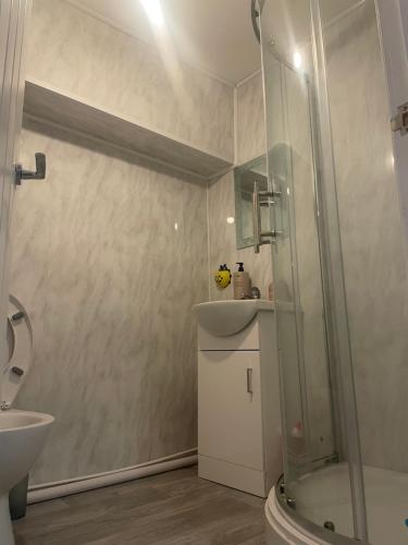 a bathroom with a shower and a sink and a toilet at 2 Bedroom Apartment on suite bathroom, Southmead Bristol in Bristol