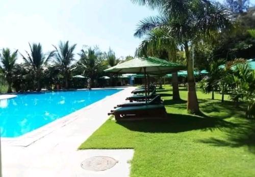 a swimming pool with umbrellas and lounge chairs next to it at Ziggon villa mtwapa in Mombasa
