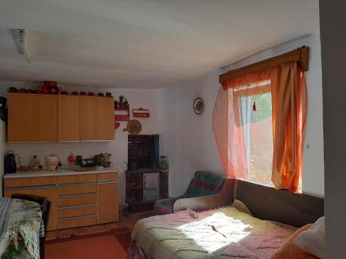 Giường trong phòng chung tại Pensiunea Lazar