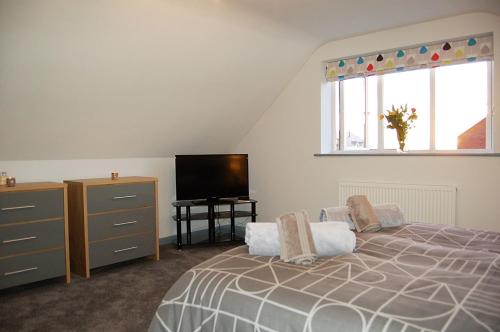 1 dormitorio con 1 cama, TV y ventana en Sena Tor Burs Family Holiday Home en Tywyn
