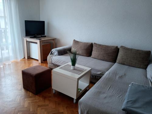 ein Wohnzimmer mit einem Sofa und einem TV in der Unterkunft Matea in Gospić