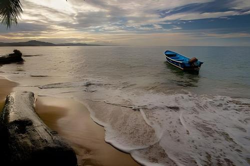 a blue boat in the water on the beach at Jungle Dreamz in Manzanillo