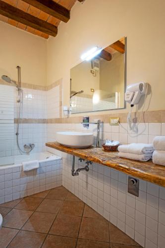 a bathroom with a sink and a mirror at Il Cortiletto in Piacenza