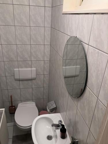 a bathroom with a toilet and a sink and a mirror at Ferienwohnung Talblick in Beffendorf