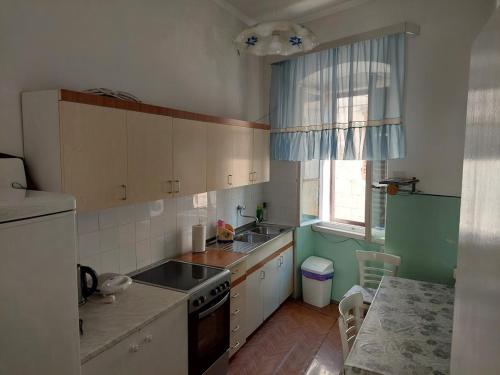 Køkken eller tekøkken på Apartman Dina