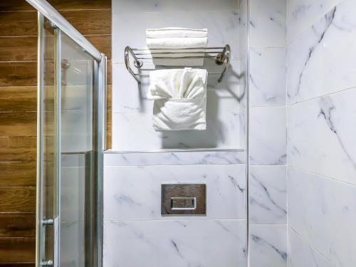 Fotografie z fotogalerie ubytování Dem İstanbul Airport Hotel v destinaci Istanbul