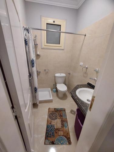 a bathroom with a toilet and a sink at Luxor apartment in Luxor