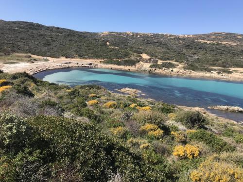 a large pool of water in the middle of a hill at Résidence Villa Branda in Calvi