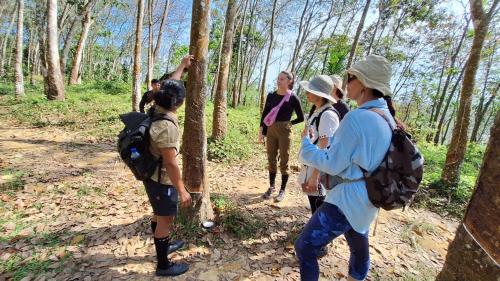 Un gruppo di persone che camminano su un sentiero nel bosco. di Batu Kapal Guest House a Bukit Lawang