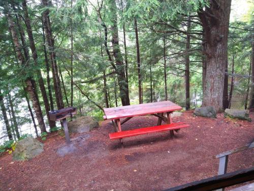 a picnic table in the middle of a forest at Robinson's Cottages in Township of Edmunds