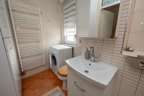 y baño con lavabo y lavadora. en Apartma Golob en Maribor