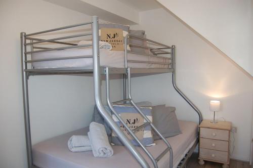 a bunk bed in a room with a ladder at Chwerthin Y Mor Beach House in Tywyn