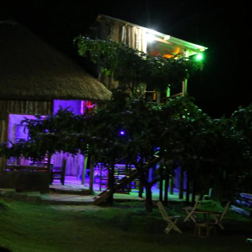 a building with a tree in front of it at night at Sipi Guest House in Kapchorwa