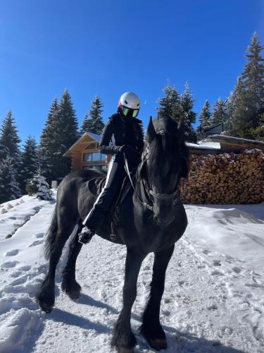 a person sitting on a horse in the snow at Woodside Kopaonik & SPA by Slopeview in Kopaonik