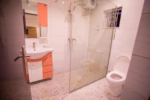 a bathroom with a shower and a toilet and a sink at Luxury 3 bed Apartmnt with Minimalist Aesthetic in Abuja