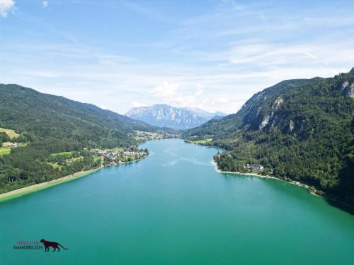 a cow jumping into a lake in the mountains at Naturtalente Berghaus - Apartment 2 in Innerschwand am Mondsee