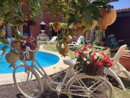een witte fiets met bloemen in een mand naast een zwembad bij Las Palmeras 