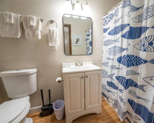 a bathroom with a toilet and a sink and a mirror at Tribesman #8 - Dollie McMolly's - near Silver Dollar City in Branson