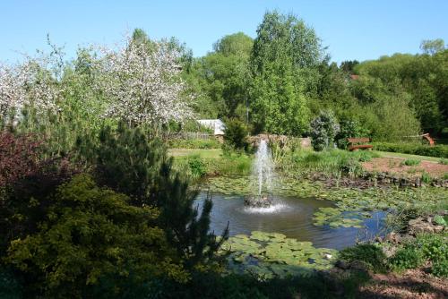 a fountain in a pond with lilies in a garden at Hotel Mühlenthal GmbH in Schwalbach