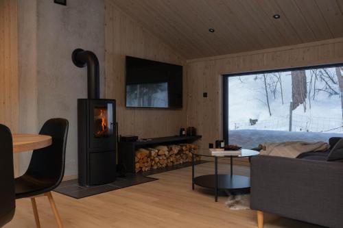 Телевизор и/или развлекательный центр в High standard cabin close to the Flå city center