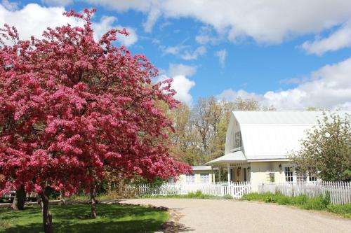 a tree with pink flowers in front of a white house at Blue Lake Ranch in Hesperus
