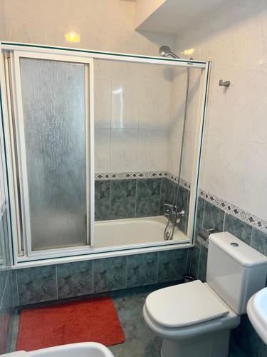 a bathroom with a shower and a toilet and a tub at Apartamento Bralo in Padrón