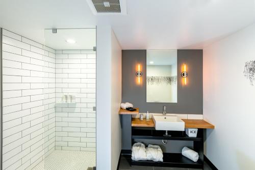 een badkamer met een wastafel en een douche bij The SPARROW in Boise