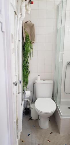 une salle de bain avec toilettes et douche en verre dans l'établissement Studio hôtel-Dieu, à Nantes