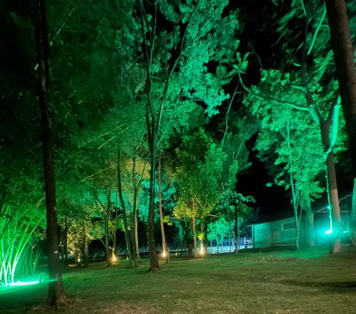 un parc avec des arbres et des lumières la nuit dans l'établissement Locação Terras de São Francisco, Quarto Privativo Ipê Amarelo, à Andradas