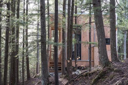 Cabin Zoobox 66